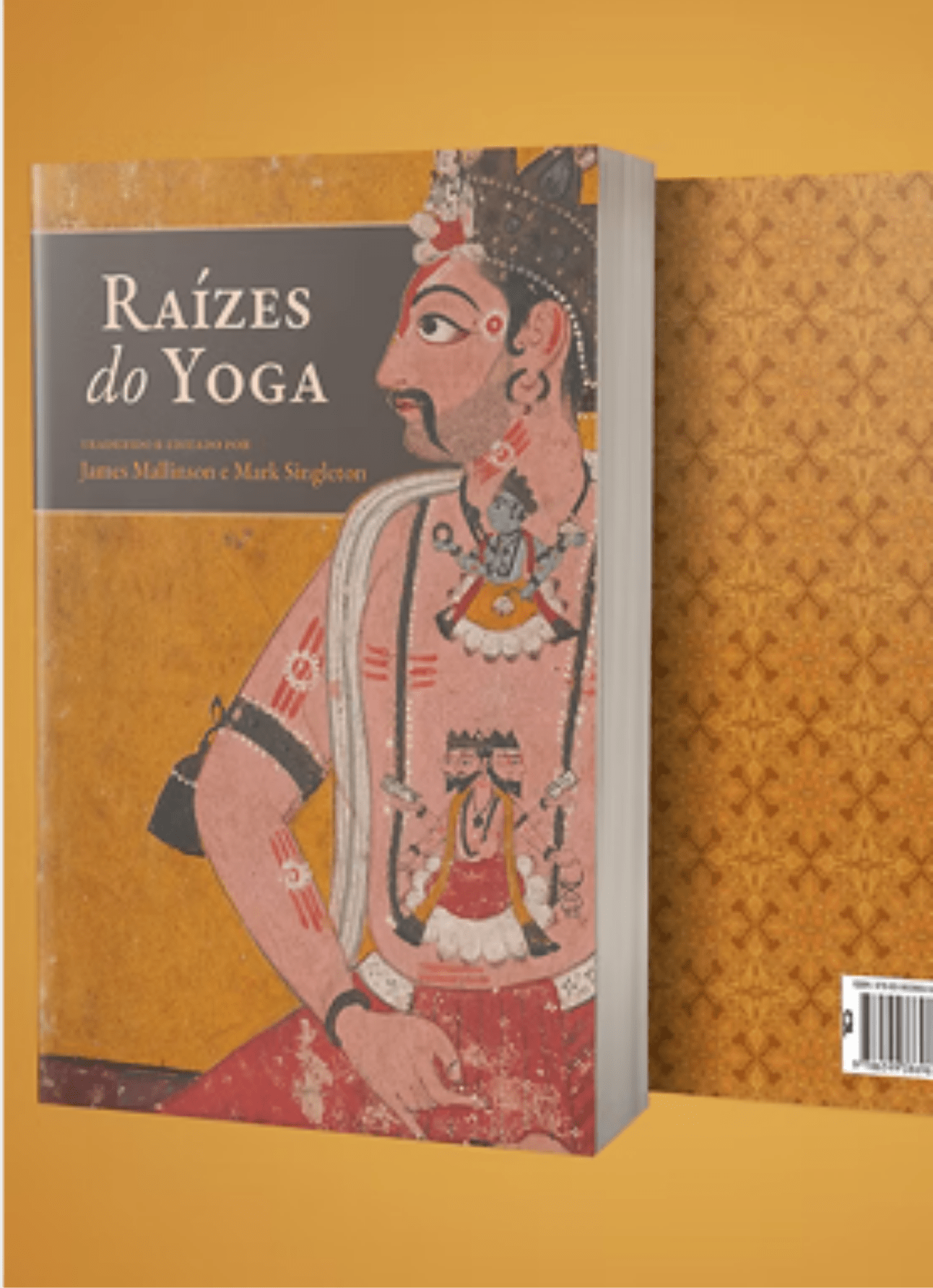 Capa do livro Raízes do Yoga